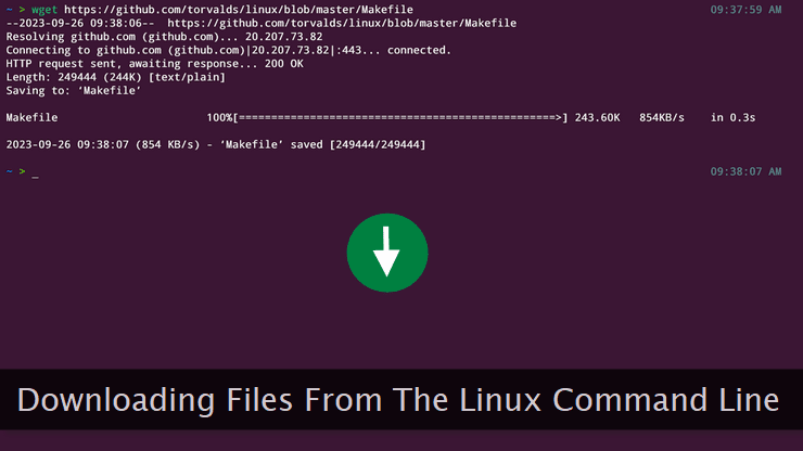 How to Download Files from the Linux Command Line