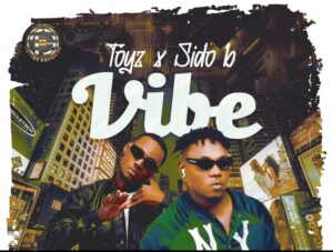 Read more about the article Toyz – Vibe Ft. Sido B (Mp3 Download)