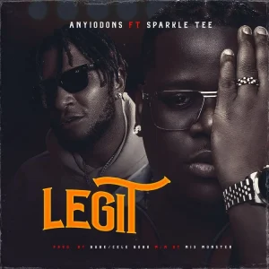 Read more about the article Anyidons – Legit Ft. Sparkle Tee